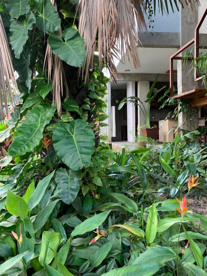 Vila Das Aguas Атинс Экстерьер фото